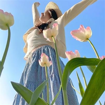 新边城浪子